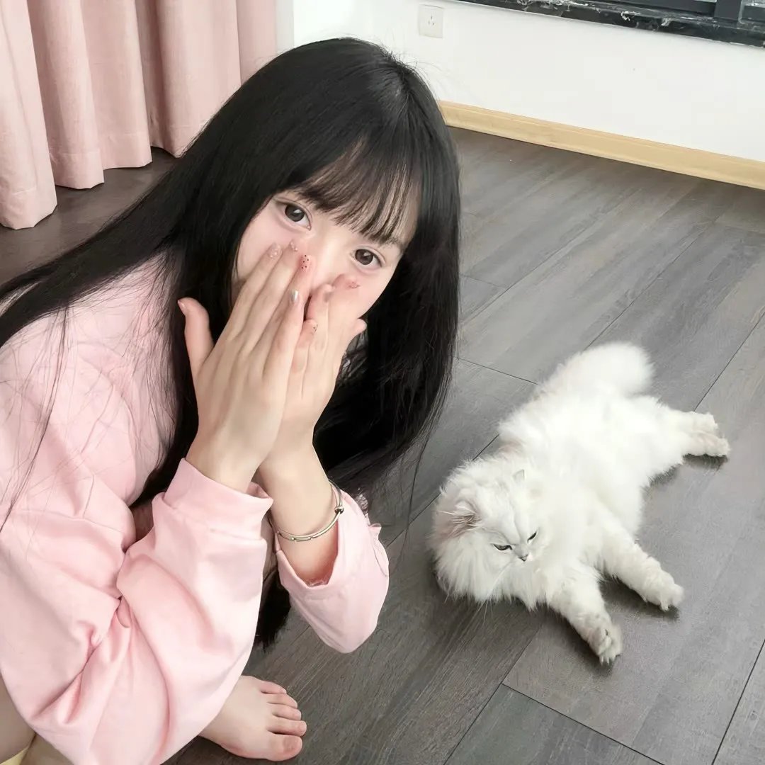 炸鸡块奇遇记