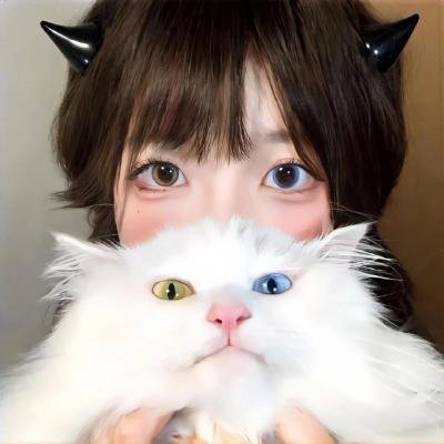 渚北谜案